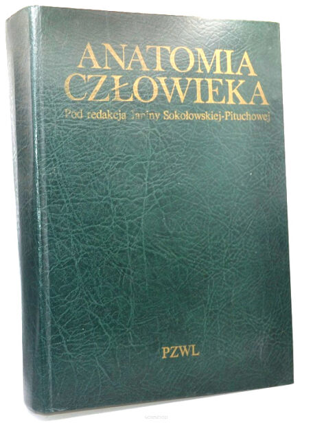 Witold Sylwanowicz Sokołowska-Pituchowa Anatomia człowieka