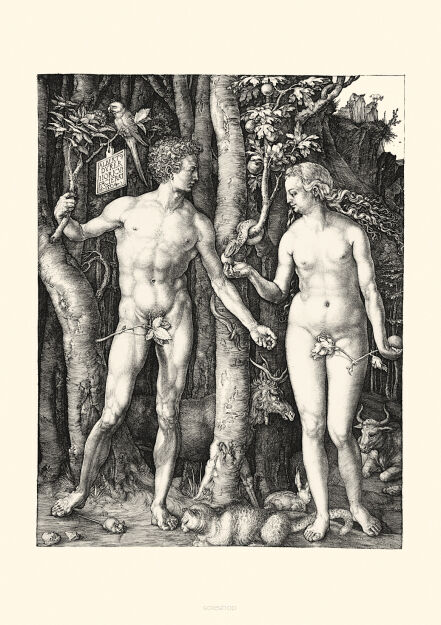 Plakat grafika ALBRECHT DURER Adam i Ewa w raju REPRINT