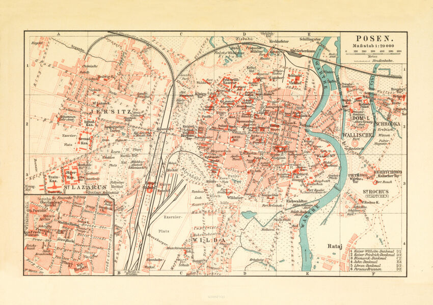 Plakat grafika MAPY Plan miasta Poznań z 1895 REPRINT