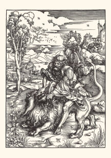 Plakat grafika ALBRECHT DURER #2 REPRINT